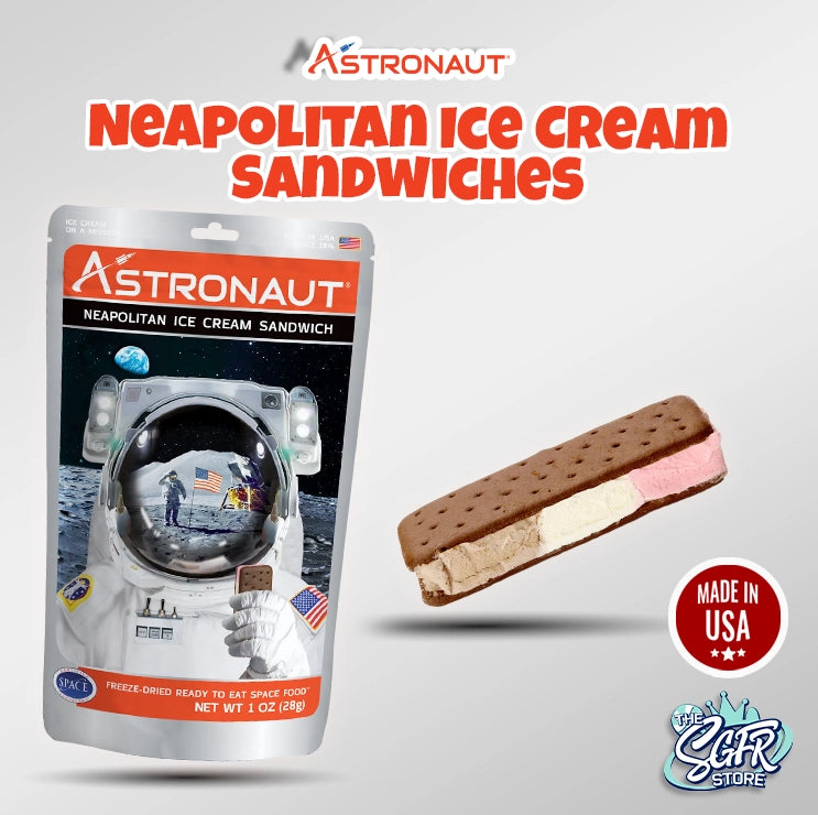 Astronaut Ice Cream Sandwich Nepolitan
